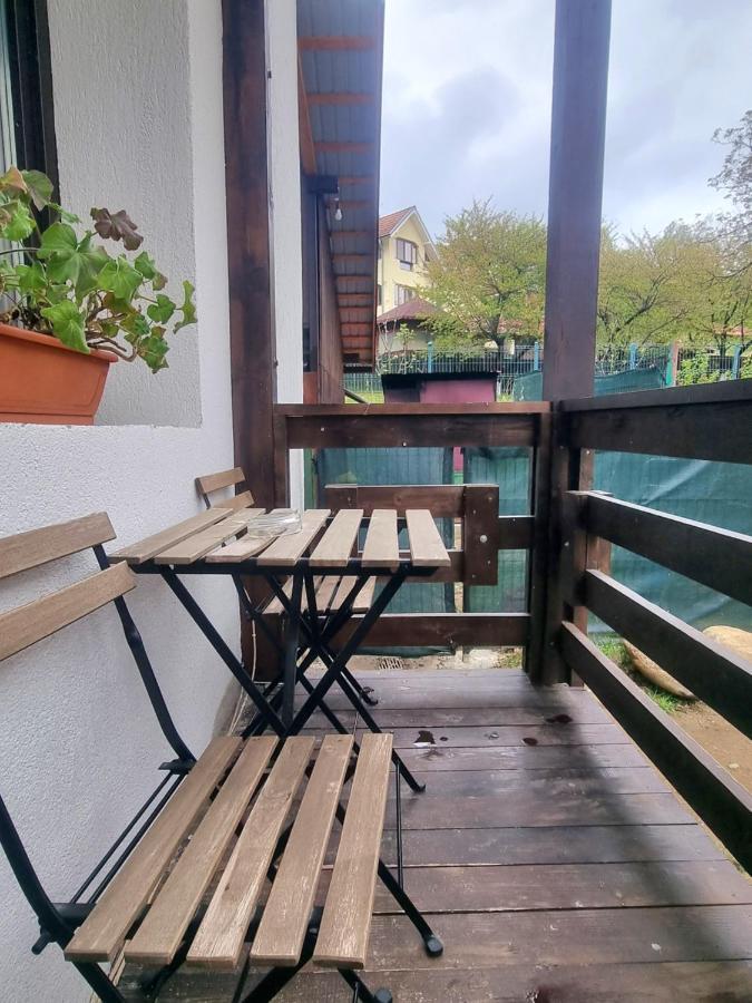Pensiunea Tobo Baia de Fier Eksteriør billede